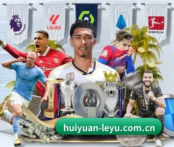 专业赛事服务, 为你而来（leyu）